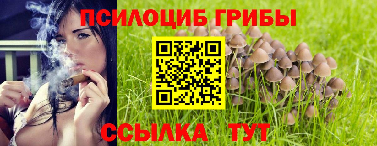 Ростов-на-Дону  купить закладку  Вход с VPN  Псилоцибиновые грибы прущие грибы 